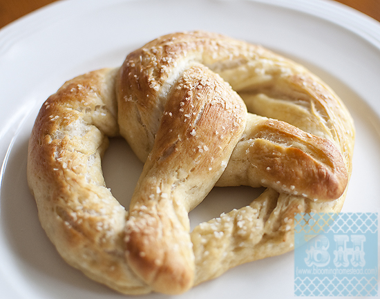 10 Fun Recipes with Pretzels for National Pretzel Day on April 26th