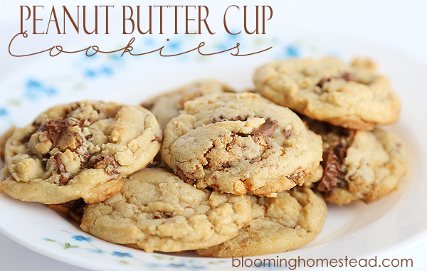 C is for cookie! 13 yummy cookie recipes for Cookie Monster's Birthday | Cheap Is The New Classy