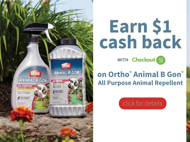 Save $1.00 On Ortho Animal B Gon Animal Repellent at Walmart #cbias #ad #OrthoProtects