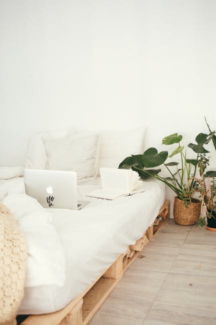 Do You Need To Detox Your Home? | The New Classy