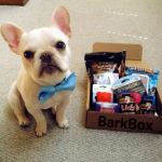 BarkBox Gifts For Dogs #sponsored #BarkBoxGifts