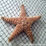 Easy decorating with starfish - create a wall hanging for about $30