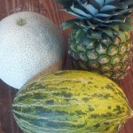 The Santa Claus Melon, also known as the Christmas Melon, is a melon similar in appearance and taste to either a cantaloupe or a honeydew.