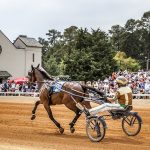 Top 10 Spring Festivals In Pinehurst And The Surrounding Area
