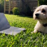 How Men And Women Really See Each Other When Online Dating