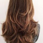 hair follicles