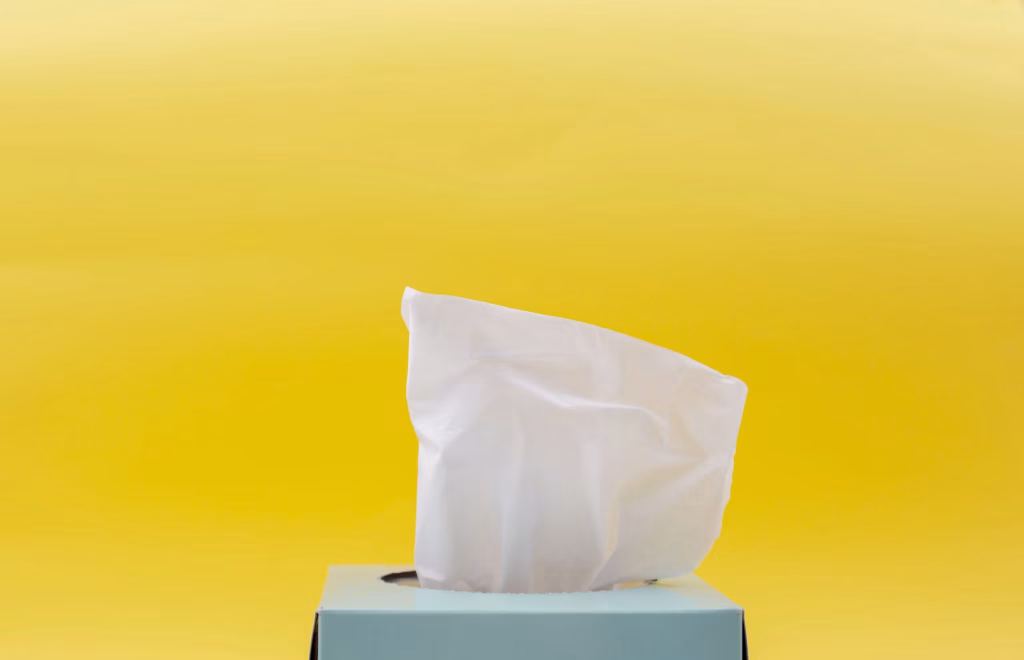 How To Combat Allergies In Your Home